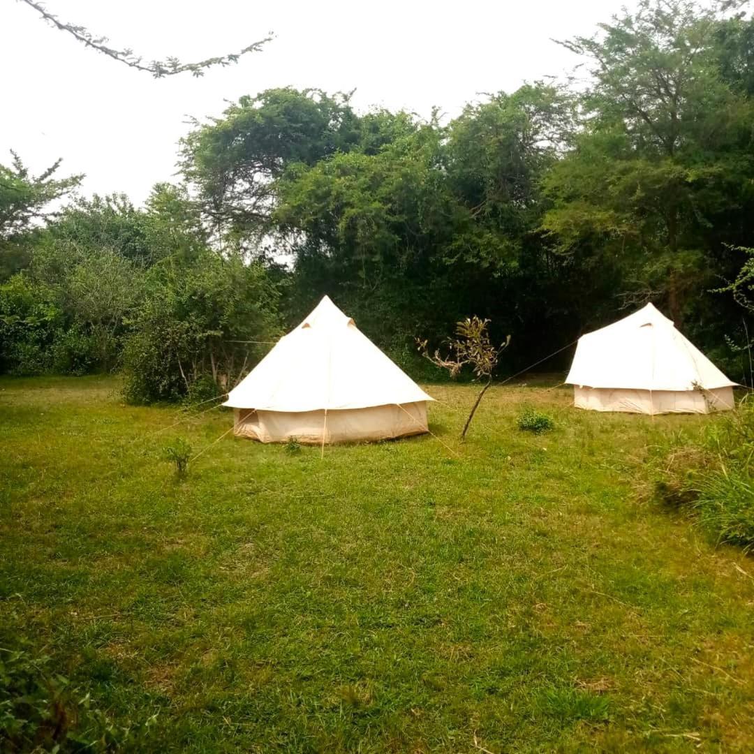 Murchison Giraffe Camp Paraa Eksteriør billede